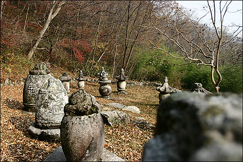 이름 모를 행자들의 천년고행의 자취를 간직 한 채 끝도 없는 해탈을 기다리며 조용히 묵좌하고 있다. 